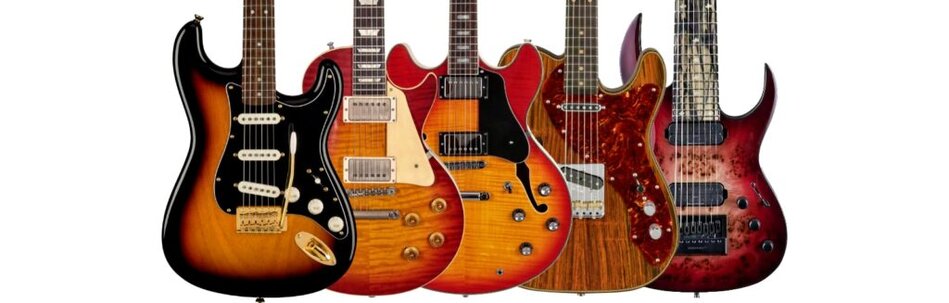 Different guitar bodies shop